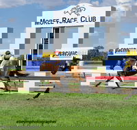Moree Race Club TAB Race Day - Accommodation Bookings