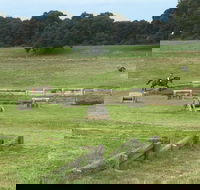 Mount Gambier and District Pony Club Horse Trials 2020 - Accommodation Bookings