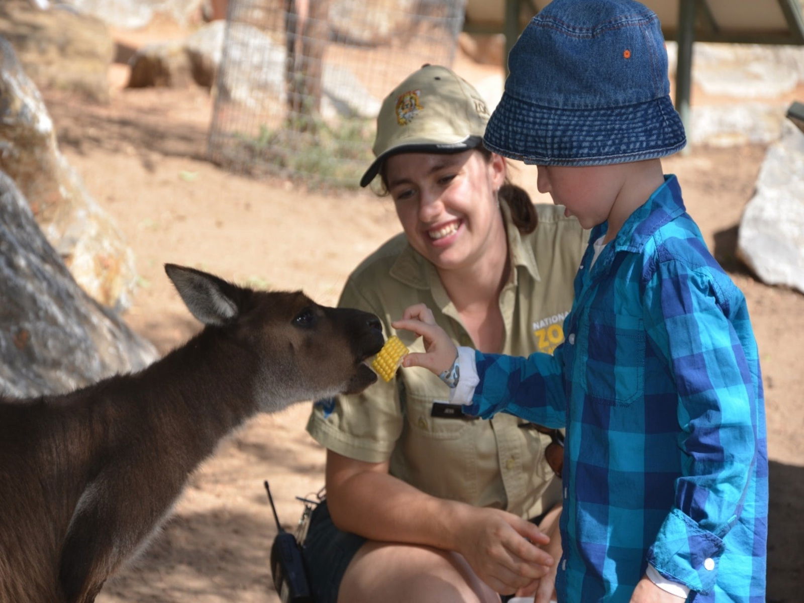 Weston Creek ACT Accommodation Bookings