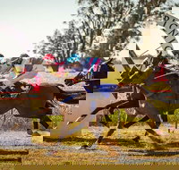 Mungery Picnic Races - Accommodation Bookings