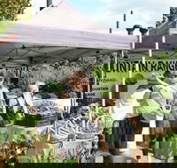 Nan Tien Health and Wellbeing Market - Accommodation Bookings