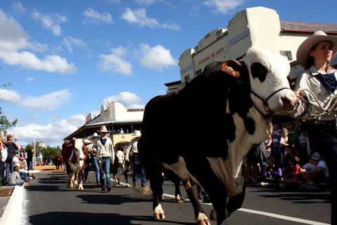 NCMC Casino Beef Week - Accommodation Bookings 1