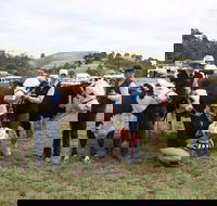 Noorat Show - Accommodation Bookings