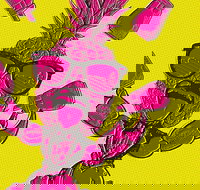 Northern Fringe Festival - Accommodation Bookings