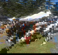 Palm Beach Market - Accommodation Bookings