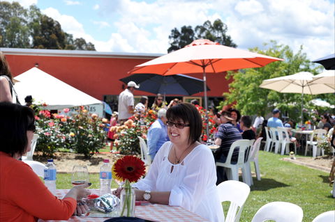 Pizzini Wines Gnocchi Carnevale - Accommodation Bookings 2