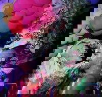 Port Douglas Hot and Steamy Festival - Accommodation Bookings