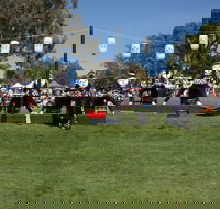 Sakura Matsuri  - Cherry Blossom Festival - in doubt due to Covid-19 - Accommodation Bookings