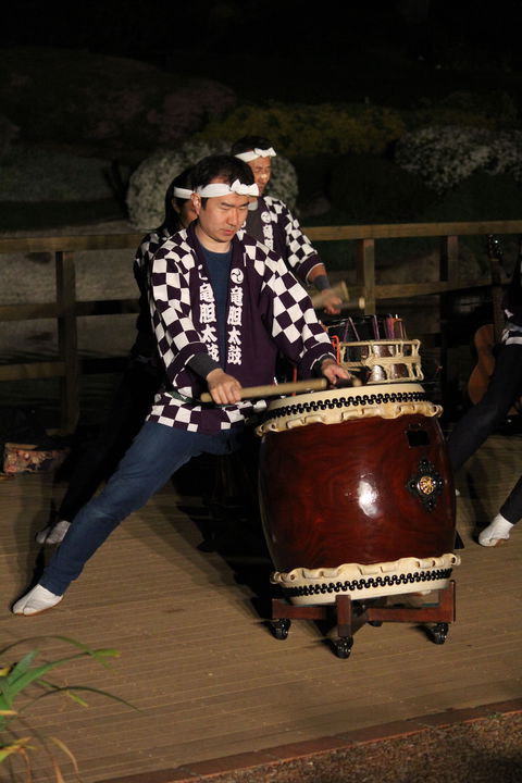 Sakura Matsuri  - Cherry Blossom Festival - In Doubt Due To Covid-19 - Accommodation Bookings 1