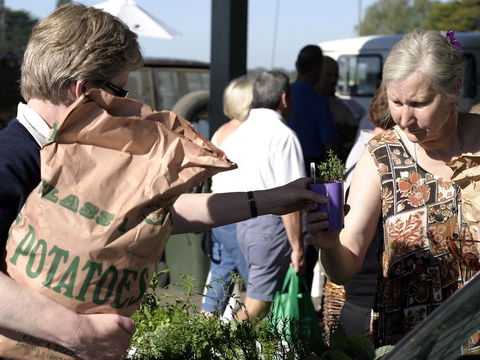 Sale  Producers Market - Accommodation Bookings 0