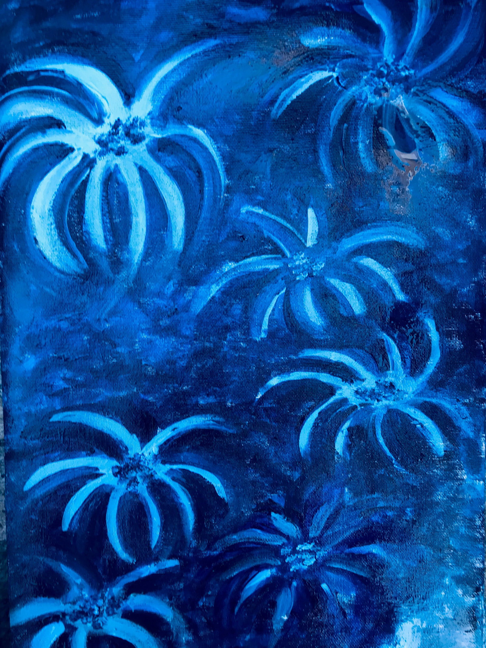 Thornlands QLD Accommodation Bookings