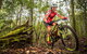 Shimano MTB Grand Prix Race | Awaba - thumb 2