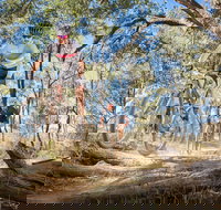 Shimano Mountain Bike Grand Prix  Logan - Accommodation Bookings