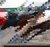 Stroud Rodeo and Campdraft - Accommodation Bookings