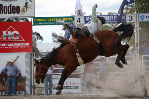 Stroud Rodeo And Campdraft - Accommodation Bookings 0