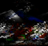 Summer  Family Nature Camp - Accommodation Bookings