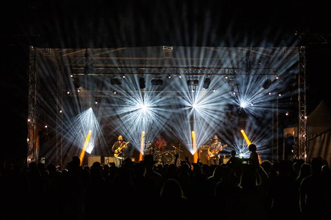 The Hidden Forest - Accommodation Bookings 1