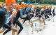 Triathlon NSW Sprint Series Kurnell (November) - thumb 2
