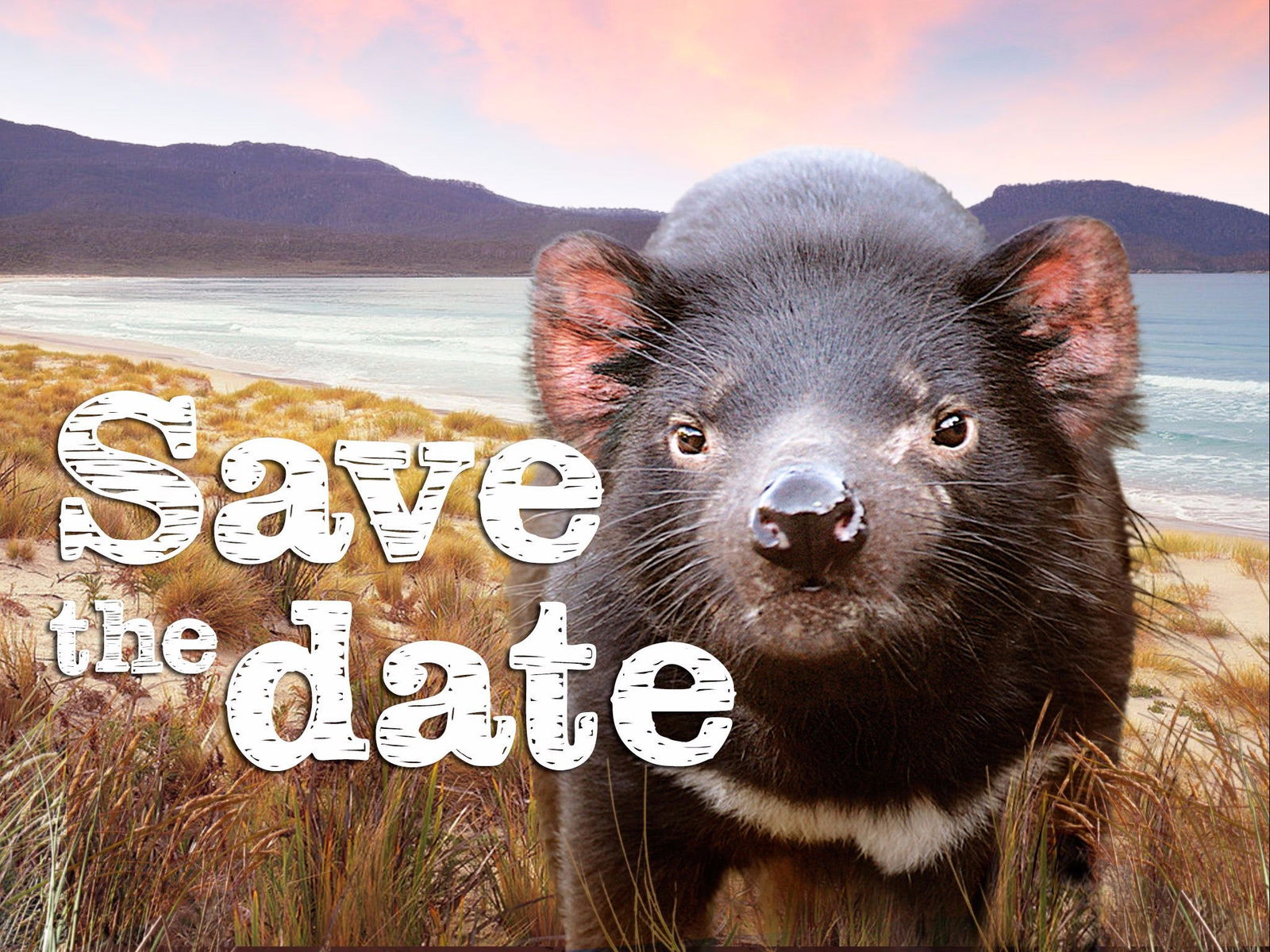 Antill Ponds TAS Accommodation Bookings