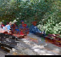 Twilight Run   Willans Hill Miniature Railway - Accommodation Bookings