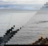 Whale Watching in Portland - Accommodation Bookings