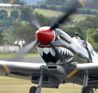 Wings Over Illawarra - Accommodation Bookings