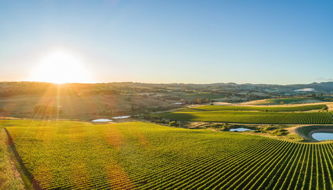 Wine And Food At Altitude - Accommodation Bookings 0