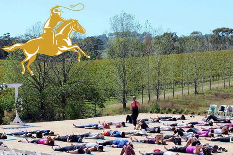 Yoga In The Vines - Accommodation Bookings 0