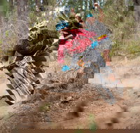 Fox Superflow sealed by Stan's Race  Greenvalleys - Accommodation Bookings