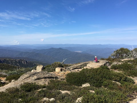 Hedonistic Hiking's Buffalo And Bubbles - Accommodation Bookings 1