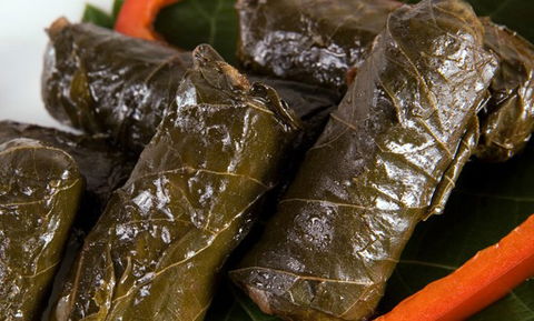 Gebran Lebanese Cuisine - Accommodation Bookings 2