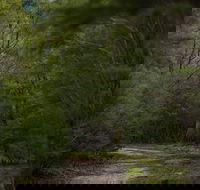 Yering Gorge Cottages - Accommodation Bookings