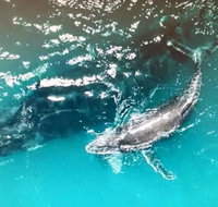 Ningaloo Lodge Exmouth - Accommodation Bookings