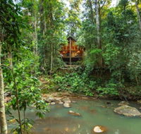 The Canopy Rainforest Treehouses and Wildlife Sanctuary - Accommodation Bookings