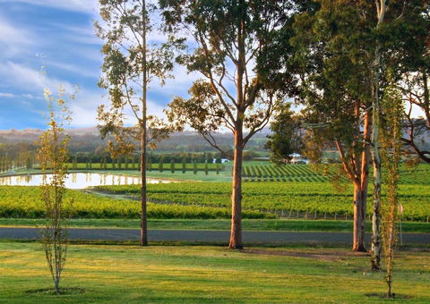 Estate Tuscany - Accommodation Bookings 6