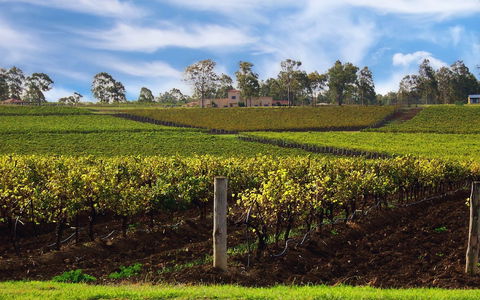 Estate Tuscany - Accommodation Bookings 3