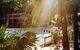 Angourie Resort - thumb 1