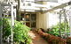 Apartments On Lygon - thumb 6