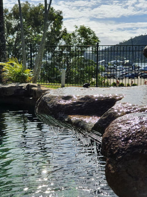 Colonial Palms Motor Inn - Accommodation Bookings 0
