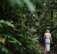 Daintree Ecolodge - Accommodation Bookings