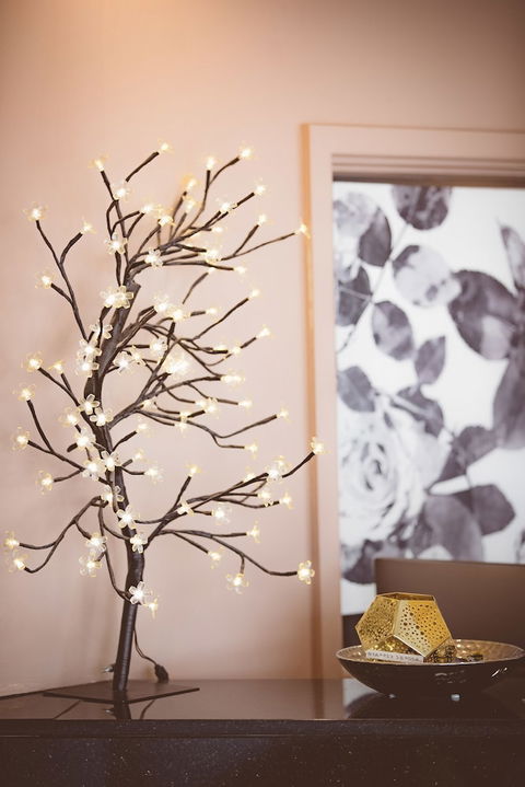Garden Lodge Sydney - Accommodation Bookings 2