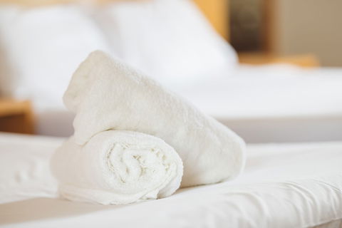 Garden Lodge Sydney - Accommodation Bookings 4