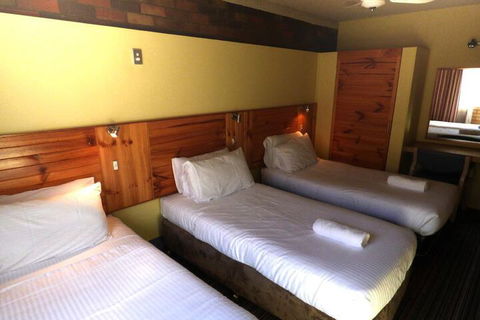 Wanderlight Motor Inn - Accommodation Bookings 4