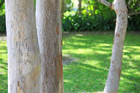 The Retreat Port Stephens - Accommodation Bookings 2