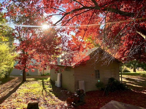 Acheron Valley Country Estate - Accommodation Bookings 5