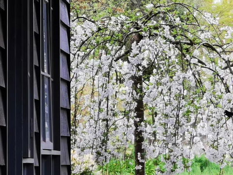 Acheron Valley Country Estate - Accommodation Bookings 1