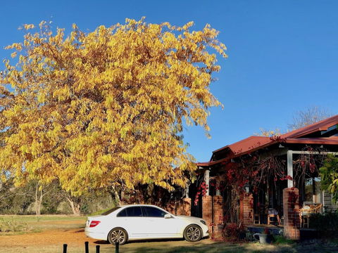 Acheron Valley Country Estate - Accommodation Bookings 6