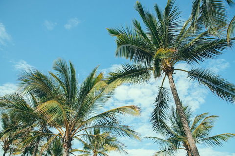 Base Magnetic Island Hostel - Accommodation Bookings 0