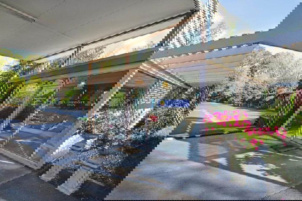 Accommodation Bookings