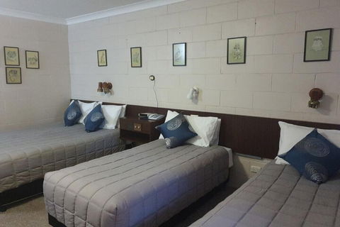 Matthew Flinders Motor Inn - Accommodation Bookings 7